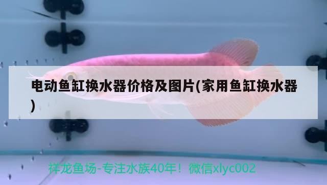 大連家具市場筱漁家生態(tài)水族店