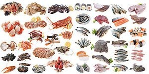 魚(yú)壁紙手機(jī)超清全面屏