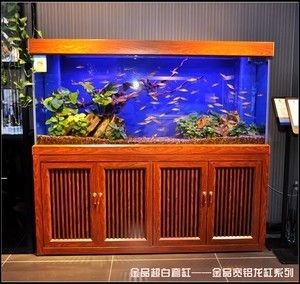 底濾魚缸的尺寸可以根據個人需求和選擇合適的底濾魚缸：如何選擇底濾魚缸