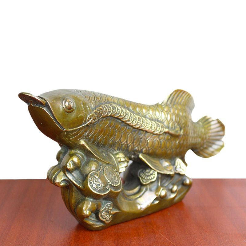 古銅金龍魚：古銅金龍魚是一種美麗的硬仆骨舌魚也被稱為亞洲龍魚 古銅金龍魚：古銅金龍魚是一種美麗的硬仆骨舌魚也被稱為亞洲龍魚 龍魚百科 第3張