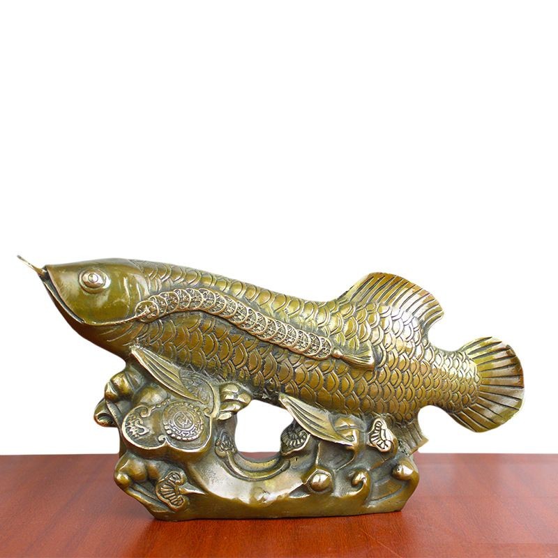 古銅金龍魚:古銅金龍魚是一種美麗的硬仆骨舌魚也被稱為亞洲龍魚 龍魚百科 第2張 古銅金龍魚:古銅金龍魚是一種美麗的硬仆骨舌魚也被稱為亞洲龍魚 古銅金龍魚:古銅金龍魚是一種美麗的硬仆骨舌魚也被稱為亞洲龍魚 龍魚百科 第2張
