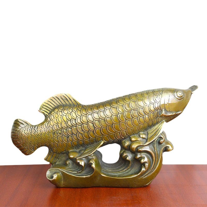 古銅金龍魚:古銅金龍魚是一種美麗的硬仆骨舌魚也被稱為亞洲龍魚 龍魚百科 第1張 古銅金龍魚:古銅金龍魚是一種美麗的硬仆骨舌魚也被稱為亞洲龍魚 古銅金龍魚:古銅金龍魚是一種美麗的硬仆骨舌魚也被稱為亞洲龍魚 龍魚百科 第1張