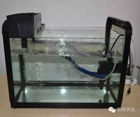 撫松縣撫松鎮方彥水族館（撫松水魔方溫泉酒店）