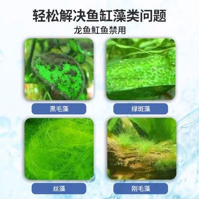 龍魚缸用什么除藻最好，龍魚缸水質(zhì)調(diào)控技巧