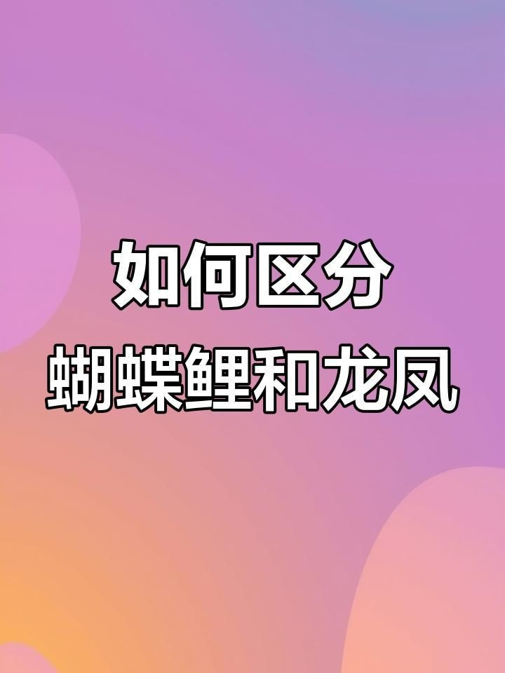 蝴蝶鯉怎么看真假