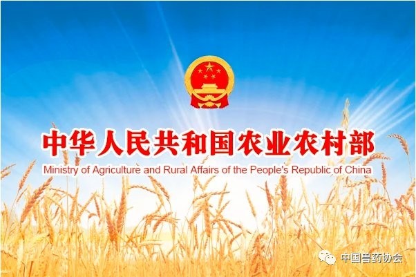 如何獲取更多寵物展會信息？