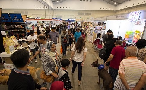 如何獲取更多寵物展會信息？