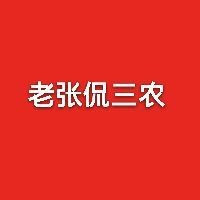 狗魚一般多少錢一斤 狗魚一般多少錢一斤 龍魚論壇 第12張