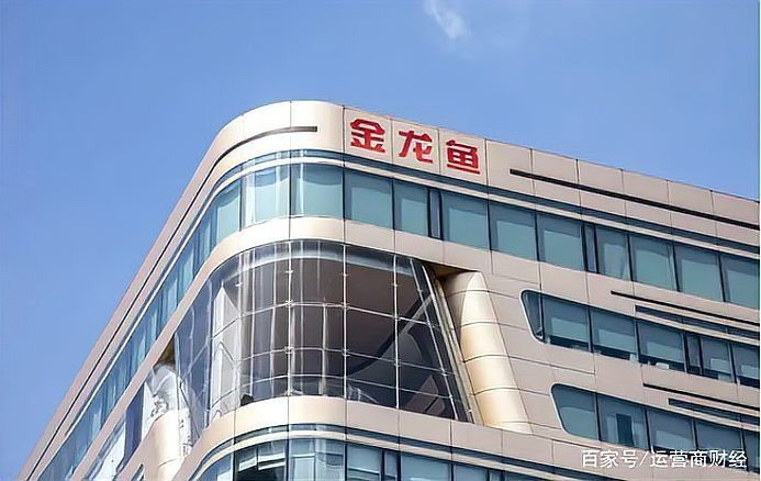 金龍魚深圳分公司副總