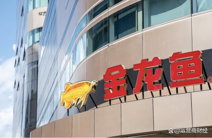 金龍魚深圳分公司副總