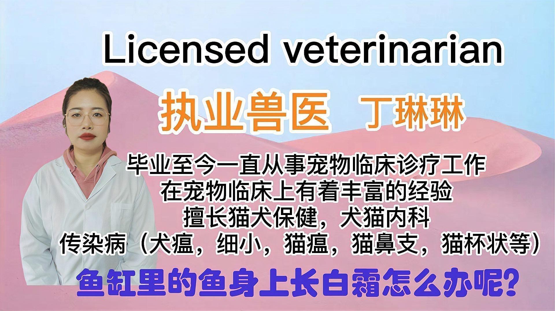 龍魚身上白膜如何快速去除？ 龍魚身上白膜如何快速去除？ 龍魚論壇 第8張