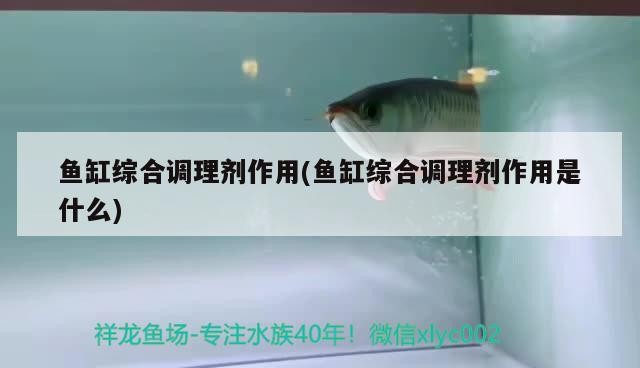 鼓樓區迪寶水族店，鼓樓區迪寶水族店地址
