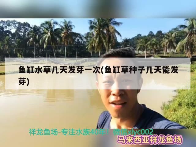 鼓樓區迪寶水族店，鼓樓區迪寶水族店地址