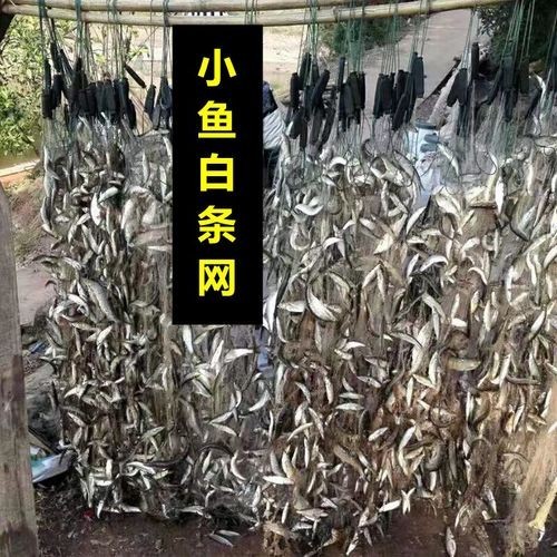 哪里可以買到高質量的漁網？