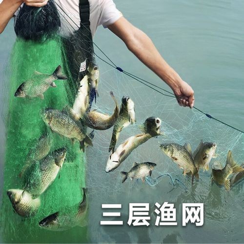哪里可以買到高質量的漁網？