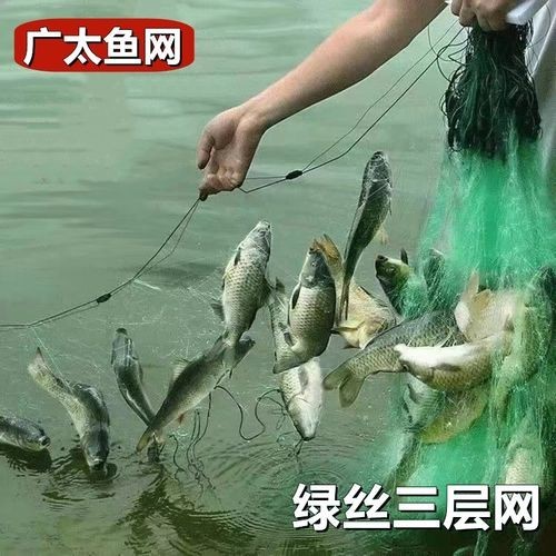 哪里可以買到高質量的漁網？