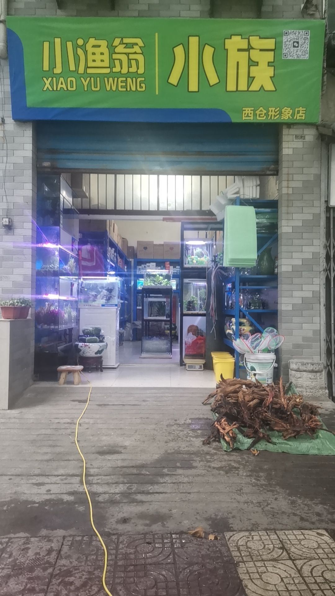 觀賞魚龍魚水族店一般在哪里？