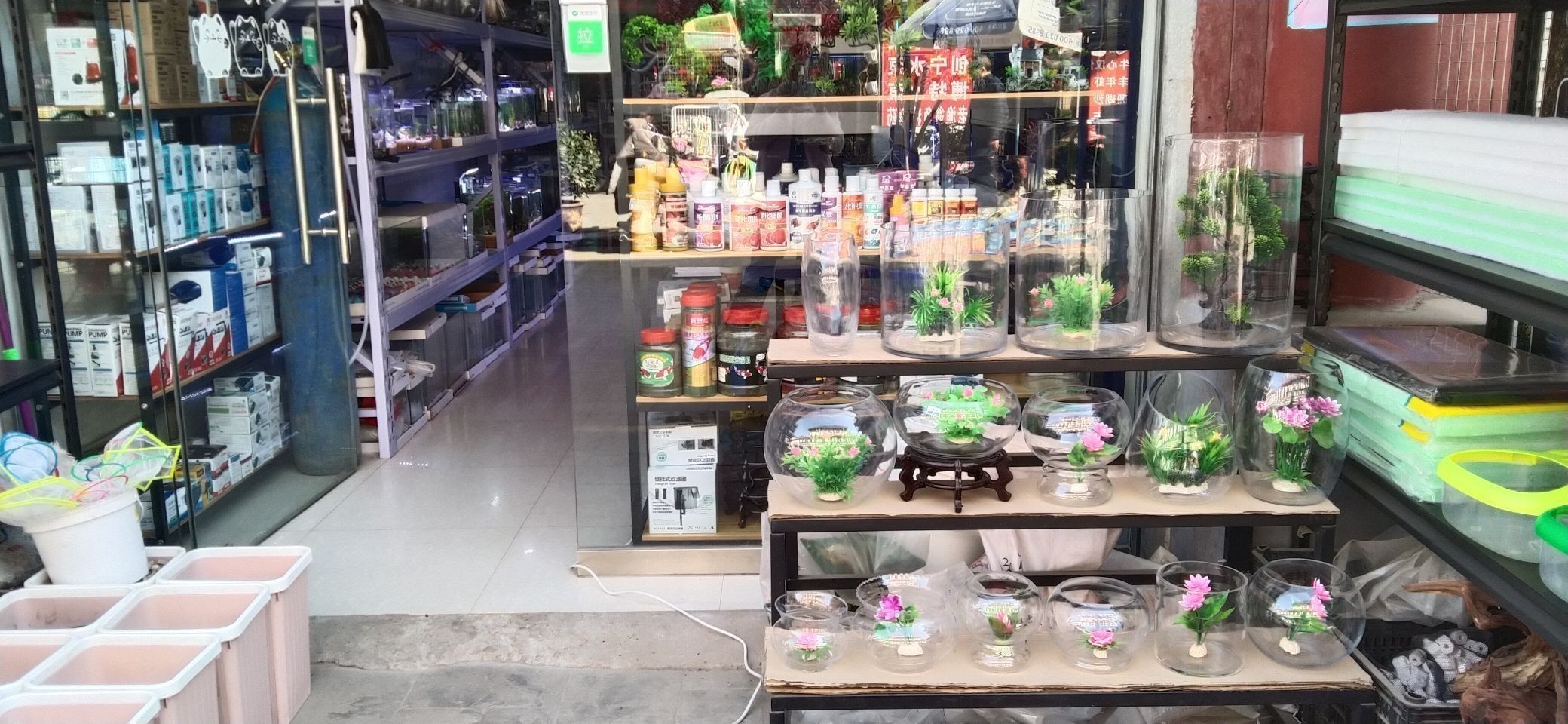觀賞魚龍魚水族店一般在哪里？