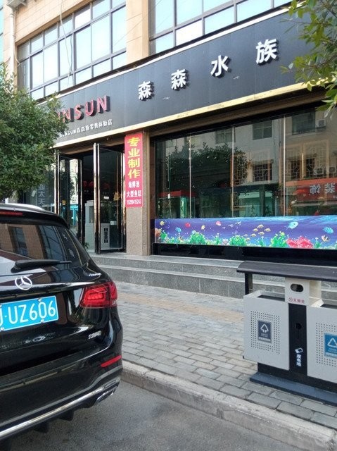 觀賞魚龍魚水族店一般在哪里？