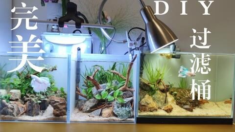 魚缸過濾器選擇指南：diy魚缸過濾器的選擇指南了解魚缸過濾器的選擇指南