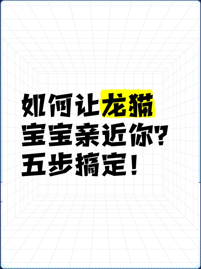 龍貓養(yǎng)多久才會(huì)和人親近