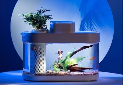 魚(yú)缸拆卸圖解大全：魚(yú)缸拆卸圖解