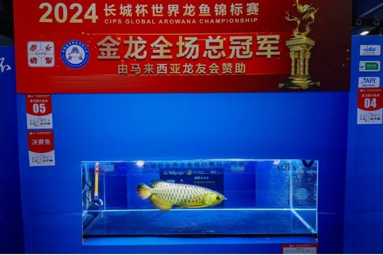 長城杯龍魚比賽的參賽條件是什么？