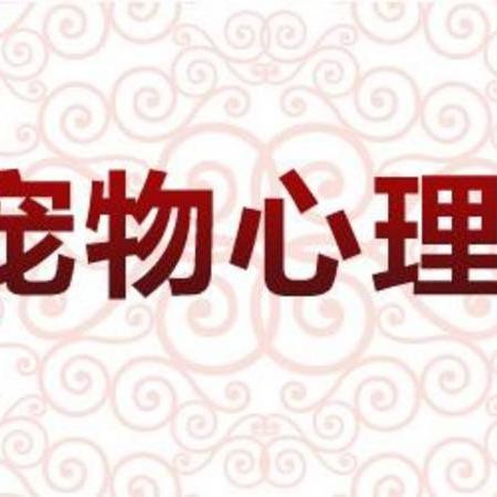 龍魚討厭主人的表現