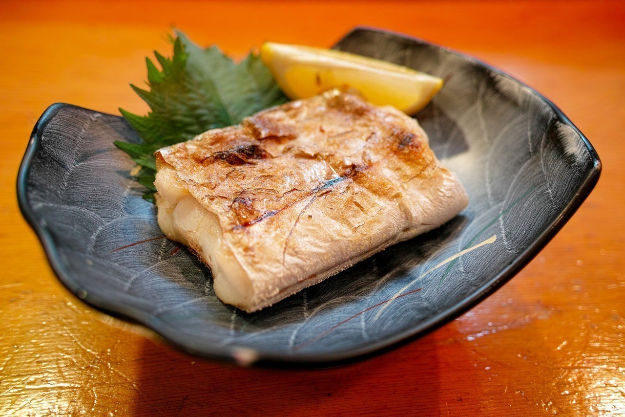 養銀龍魚要注意什么事項和飲食禁忌圖片（養銀龍魚要注意什么事項和飲食禁忌圖片視頻）