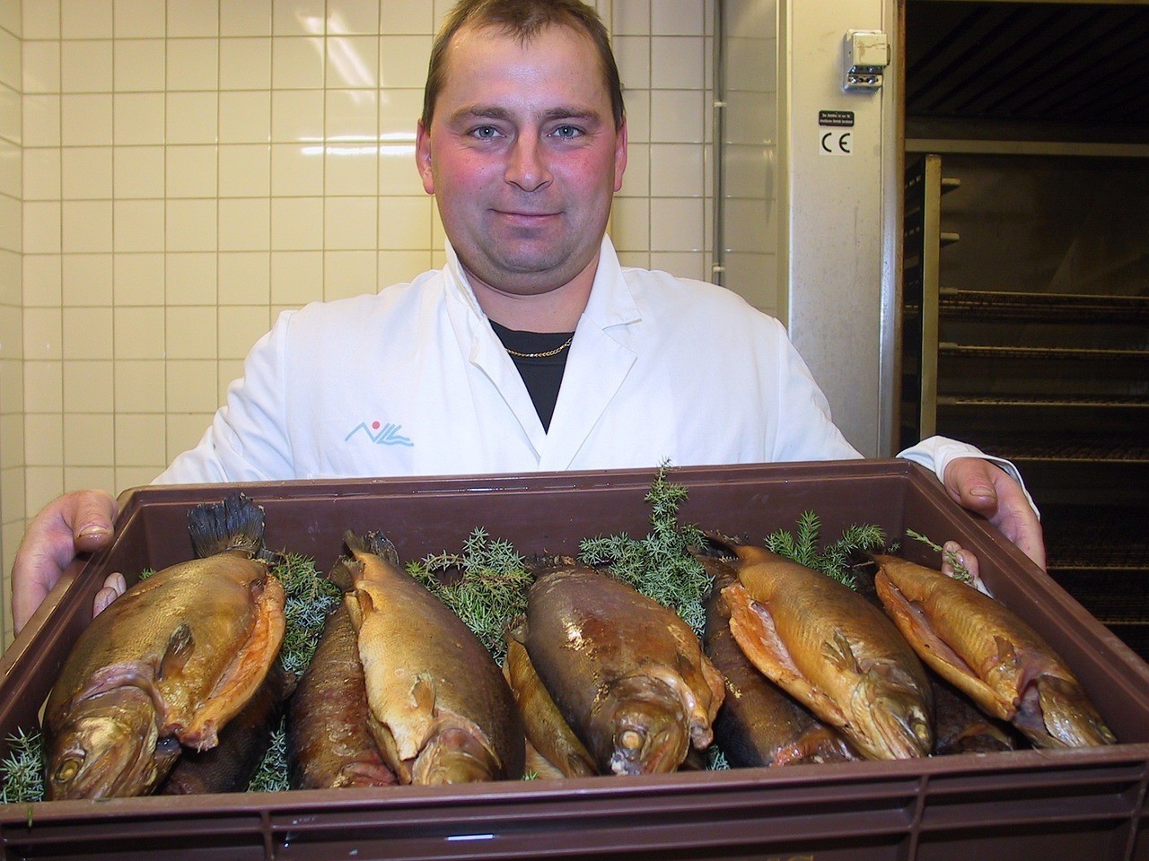 養銀龍魚要注意什么事項和飲食禁忌圖片（養銀龍魚要注意什么事項和飲食禁忌圖片視頻）