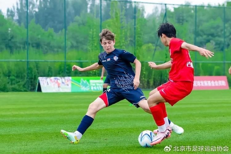 第九屆全國長城杯 2025長城杯龍魚大賽 第5張 第九屆全國長城杯 第九屆全國長城杯 2025長城杯龍魚大賽 第5張