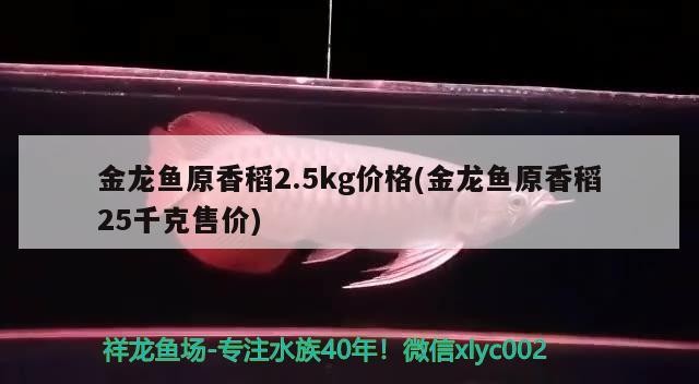 銀龍魚和孔雀魚能一起養(yǎng)嗎，銀龍魚和孔雀魚能混養(yǎng)嗎，孔雀魚可以和孔雀魚一起混養(yǎng)嗎