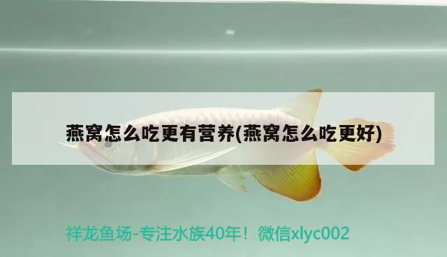 銀龍魚和孔雀魚能一起養(yǎng)嗎，銀龍魚和孔雀魚能混養(yǎng)嗎，孔雀魚可以和孔雀魚一起混養(yǎng)嗎
