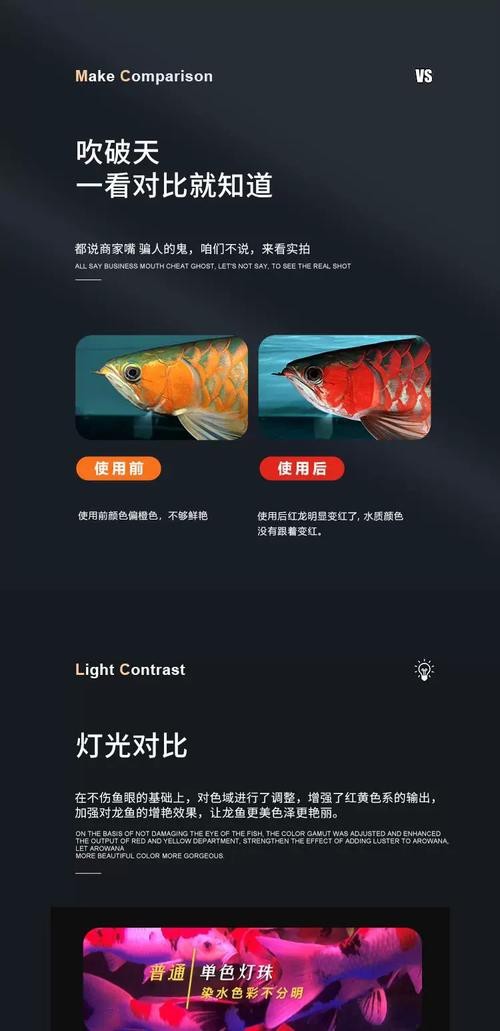 紅龍魚發色一定要用燈照嗎圖片