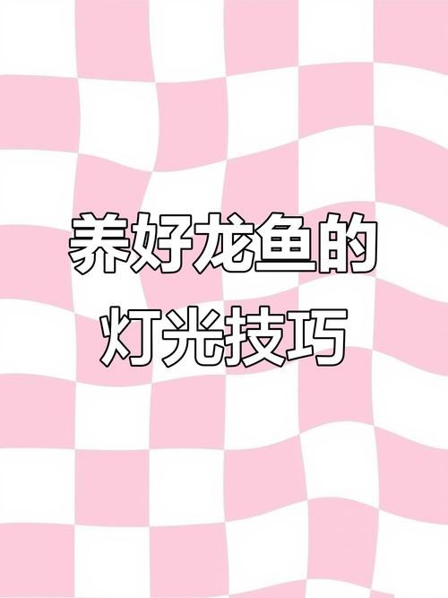 紅龍魚發色一定要用燈照嗎圖片