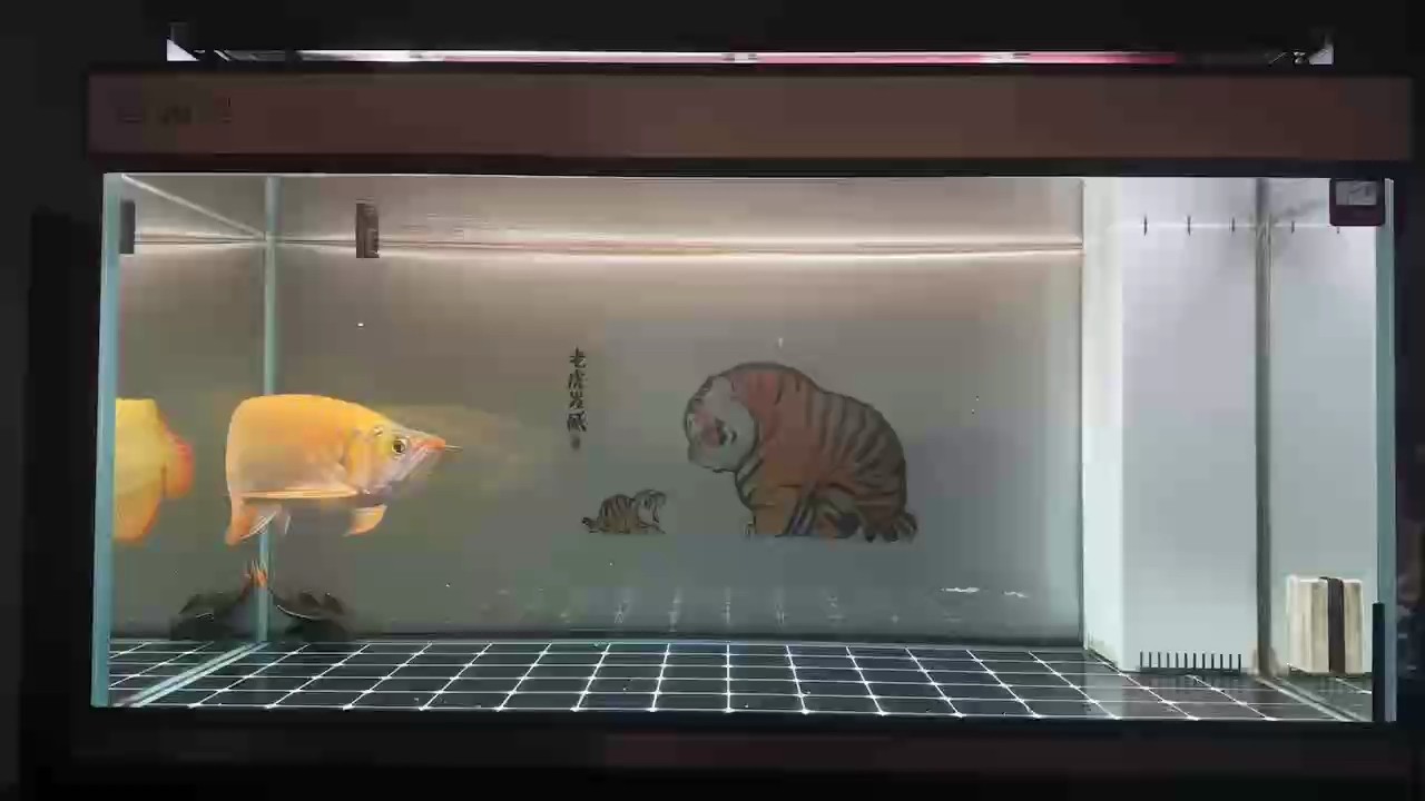 等國慶節