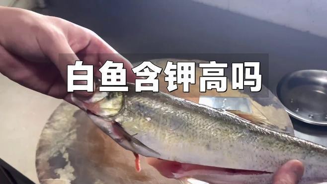 白龍魚吃什么最好吃 白龍魚吃什么最好吃 龍魚百科 第7張