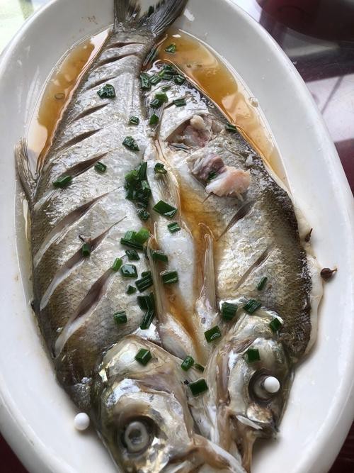 白龍魚吃什么最好吃 龍魚百科 第5張 白龍魚吃什么最好吃 白龍魚吃什么最好吃 龍魚百科 第5張
