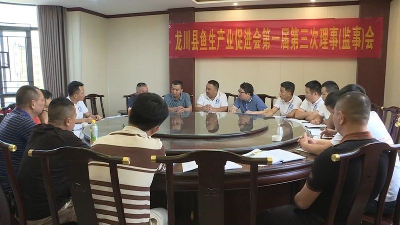 文建強會長如何推動龍魚文化傳播？