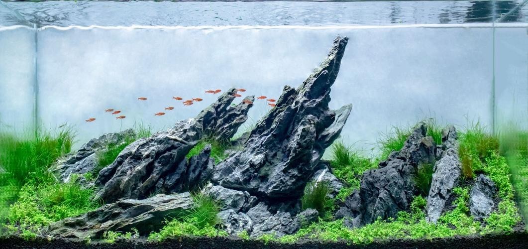 2025年長城水族展有哪些亮點(diǎn)？