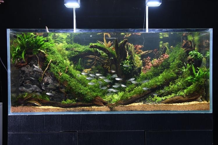 2025年長城水族展有哪些亮點(diǎn)？