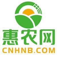 紅銀板魚價格表2023最新價格
