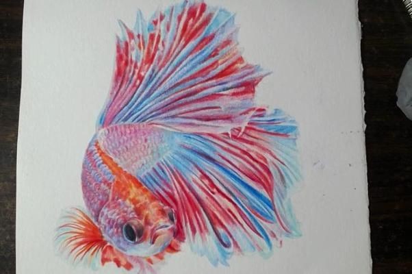 魚缸彩鉛畫：彩鉛畫魚缸簡筆畫