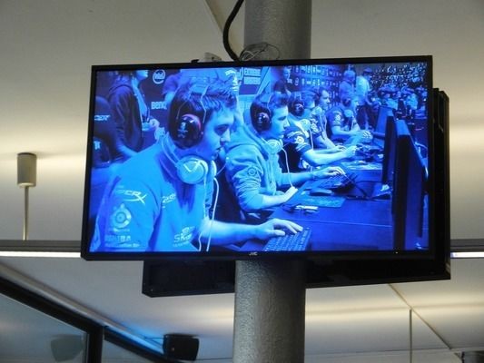 雷龍魚養(yǎng)殖環(huán)境優(yōu)化：雷龍魚養(yǎng)殖環(huán)境優(yōu)化是提升雷龍魚健康和產(chǎn)量的關(guān)鍵因素