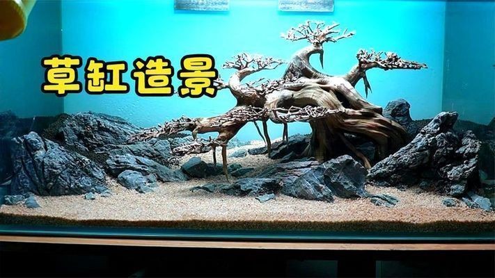 一米魚缸設(shè)計(jì)圖紙圖片，一米魚缸側(cè)濾diy教程