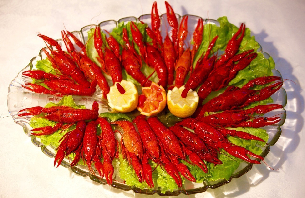 小魚缸養銀龍魚好不好（銀龍魚小缸養有什么壞處）