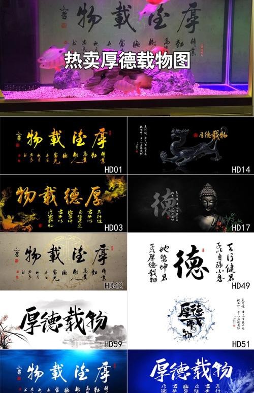 龍魚缸背景圖100張