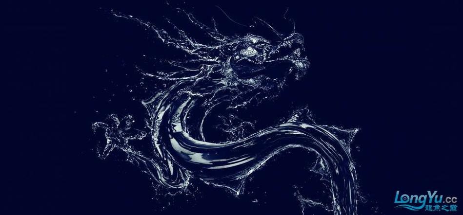 龍魚缸背景圖100張