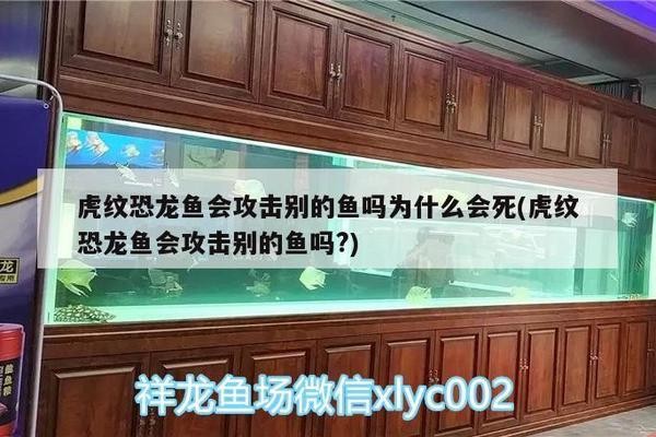哈爾濱市道里區靈動水族館（哈爾濱市道里區靈動水族館電話）