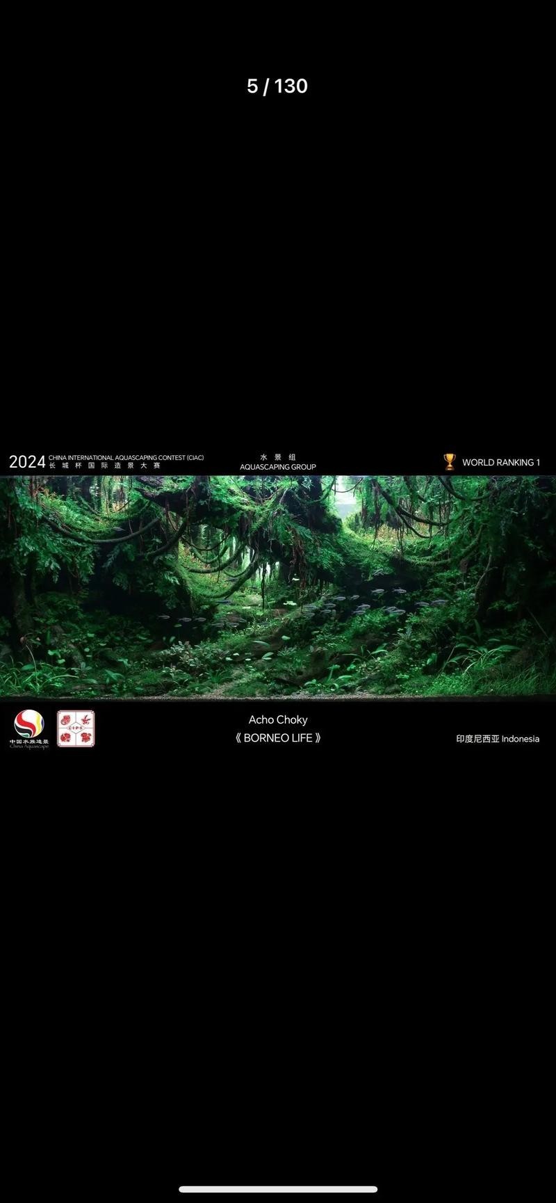 國際造景大賽的詳細獲獎名單